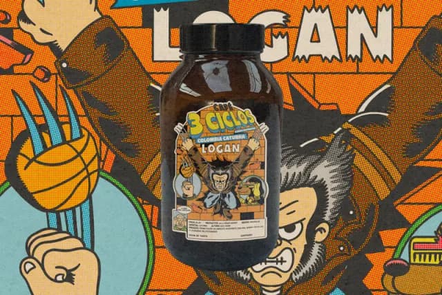 Foto de CAFE 3CICLOS : COLOMBIA LOGAN x BUEN MUCHACHO, publicada por Cafe 3Ciclos (Triciclo)